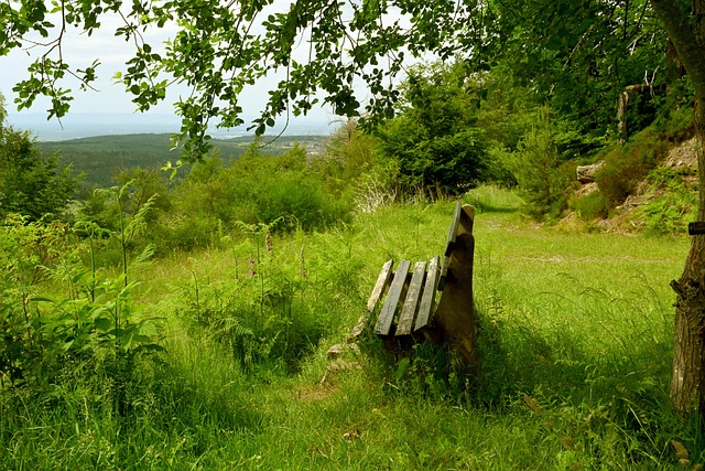 赫内斯直言：过高薪资让球员失去奋斗的核心动力