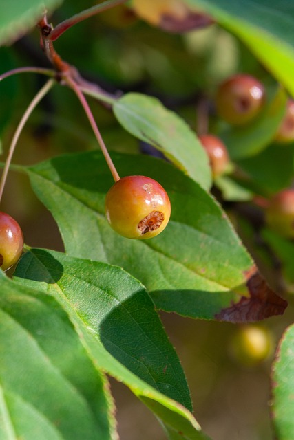 孙继海：非专业人士投身青训有启蒙作用，专业人能更符合规律